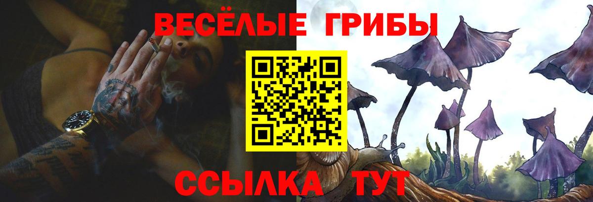 Псилоцибиновые грибы мухоморы Сланцы
